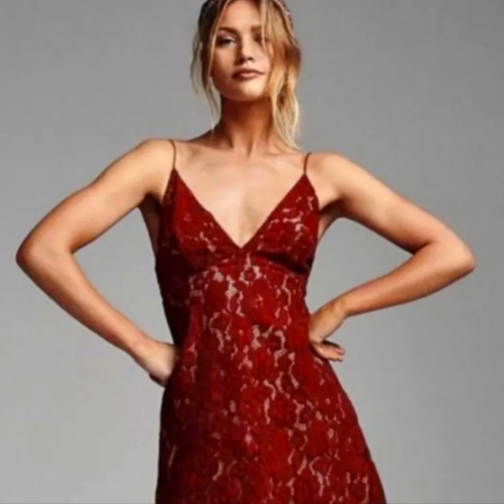 Free People Dangerous Love Lace Dress. Size 2. NWOT.